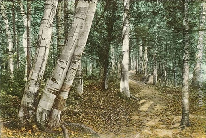 Norman Parkinson Riverside Path, White Mountains, New Hampshire